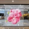 Transparent Screens LED